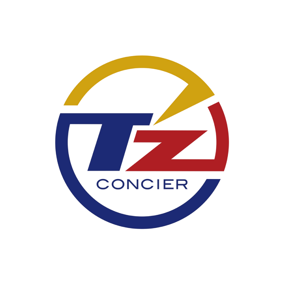 トータルブランディング ( ディーラー / 株式会社ティーズコンシェル 様 ）